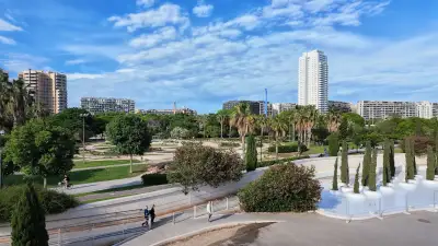 Parque junto a la ciudad de las artes y las ciencias