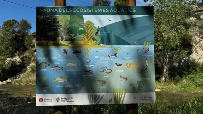 Navarcles en autocaravana: área gratuita junto al lago y qué ver cerca de Barcelona